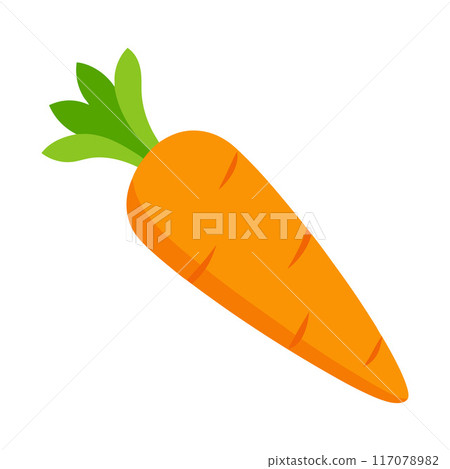 carrot vegetable for cooking meals. A bright element isolated on white for design.  117078982