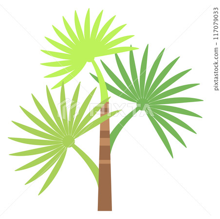 Jungle plant. Green tree. Exotic tropical palm Jungle plant. Green tree. Exotic tropical palm 117079033