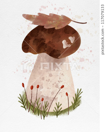 Watercolor hand drawn Boletus illustration Watercolor hand drawn Boletus illustration 117079133