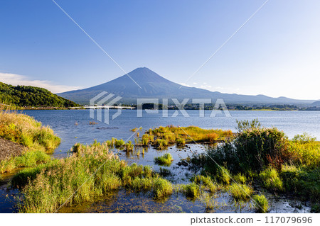 從山梨縣河口湖看到的富士山 117079696