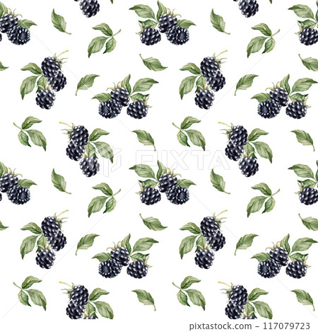 Blackberry, ripe berries with leaves. Watercolor illustration, floral seamless pattern on white background with summer fruit for table textile, summer fabrics, wrapping paper and food packages Blackberry, ripe berries with leaves. Watercolor illustration, floral seamless pattern on white background with summer fruit for table textile, summer fabrics, wrapping paper and food packages 117079723