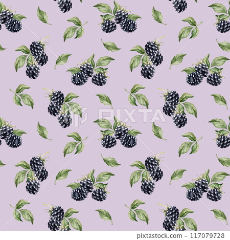 Blackberry, ripe berries. Watercolor illustration, floral seamless pattern on lilac background with summer fruit for table textile, delicious prints, summer fabrics, wrapping paper and food packages 117079728