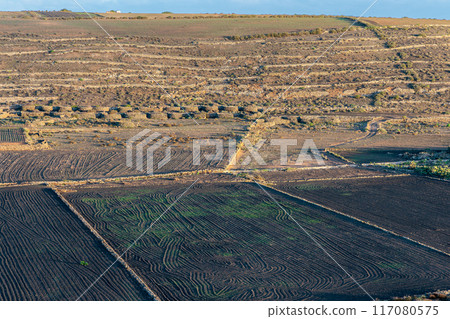 Sunset over the landscape around Mirador del Rio on the island of Lanzarote, Canary Islands 117080575