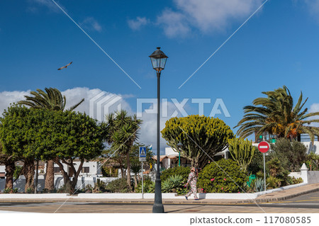 Square with a park in the town of Teguise on the island of Lanzarote, Canary Islands 117080585