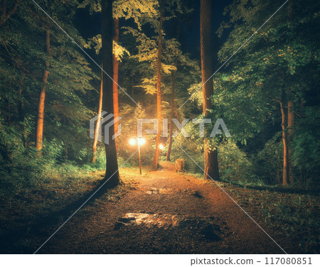 Mystical forest path at night in fog, illuminated by street lamp 117080851