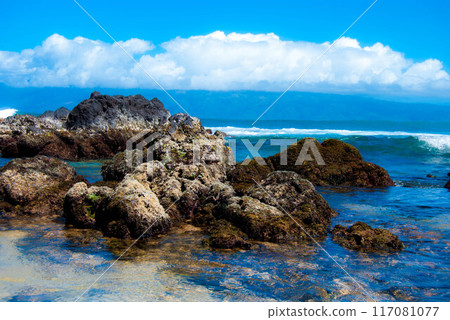 Rocky Coastline on Maui, Hawaii 117081077