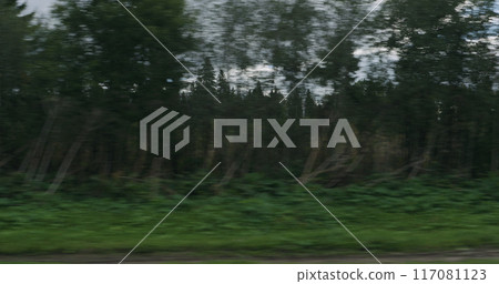 motion blur background side view of mixed forest in early autumn from moving car motion blur background side view of mixed forest in early autumn from moving car 117081123