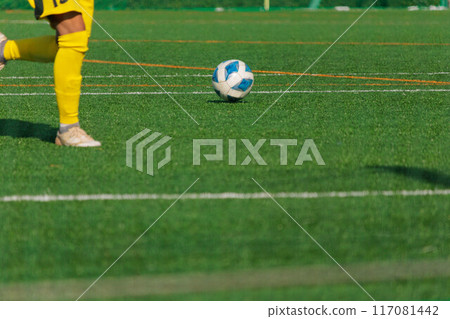 Playing with a soccer ball Playing with a soccer ball 117081442