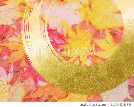 Autumnal maple leaves 117081679