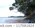 Winter beach scenery in New Zealand 117081824
