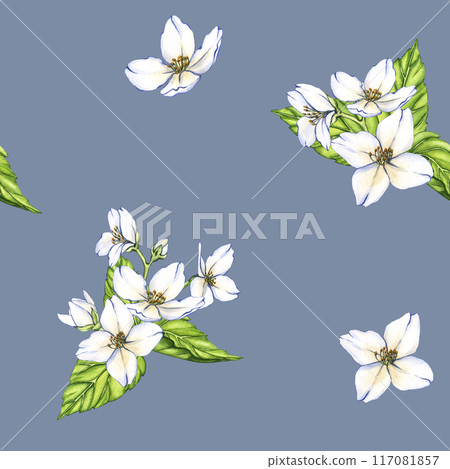 Watercolor seamless pattern of flowers and branches Jasmine isolated on a blue background. Floral illustration for design greeting cards, wedding invitations, natural cosmetics, packaging and tea 117081857