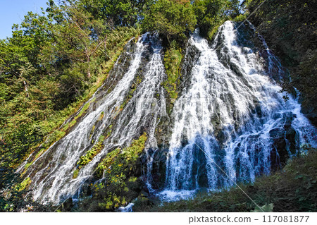 北海道/代表北海道的著名瀑布，夏季的知床“阿新越心瀑布” 117081877