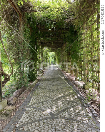 Old wooden corridor pathway pergola in the garden with green leaves on the ground. Old wooden corridor pathway pergola in the garden with green leaves on the ground. 117081933
