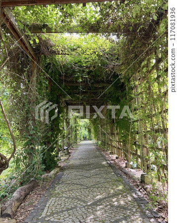 Old wooden corridor pathway pergola in the garden with green leaves on the ground. Old wooden corridor pathway pergola in the garden with green leaves on the ground. 117081936
