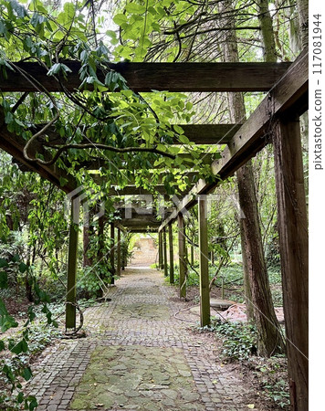 Old wooden corridor pathway pergola in the garden with green leaves on the ground. Old wooden corridor pathway pergola in the garden with green leaves on the ground. 117081944