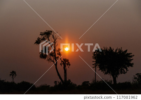 Sunset over the Okavango Sunset over the Okavango 117081962