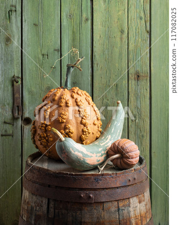 Musquee de Maroc, Black Futsu, and Candy Roaster Pumpkins on a Wooden Barrel Musquee de Maroc, Black Futsu, and Candy Roaster Pumpkins on a Wooden Barrel 117082025