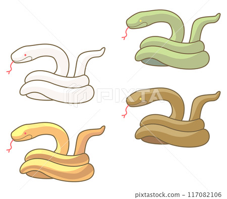 一套四種類型的蛇插圖:白色、金色、綠色和棕色。 一套四種類型的蛇插圖:白色、金色、綠色和棕色。 117082106