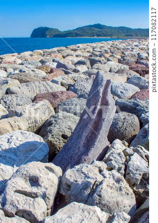 大分縣Himeshima 117082117