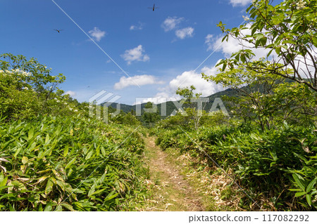 Lake Nozori Lakeside Hiking Course 117082292