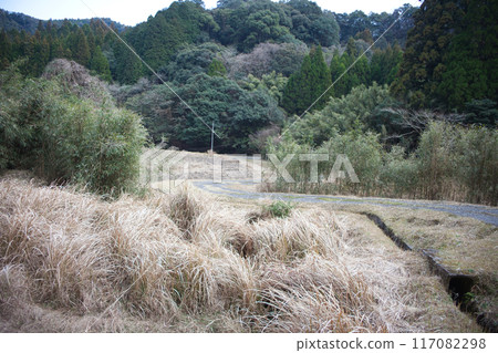 Rural pathway 117082298