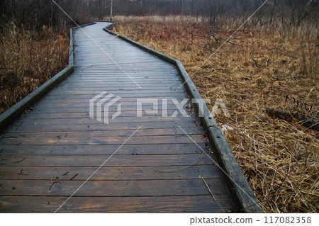 Winding Wooden Boardwalk Through Serene Autumn Landscape in Ann Arbor, Michigan 117082358