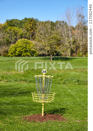 Sunny Disc Golf Basket in Park with Autumn Trees Sunny Disc Golf Basket in Park with Autumn Trees 117082440
