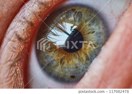 Hazel Eye Macro Detail with Lashes and Sclera Texture Hazel Eye Macro Detail with Lashes and Sclera Texture 117082478
