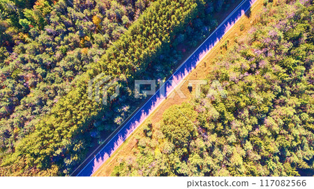 Aerial Top Down Autumn Road through Colorful Michigan Forest Aerial Top Down Autumn Road through Colorful Michigan Forest 117082566