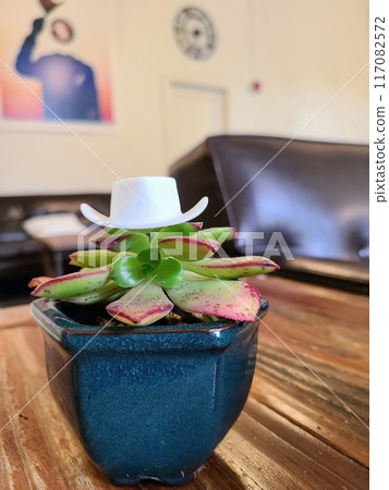 Vibrant Succulent in Blue Pot with Cowboy Hat on Rustic Wooden Surface 117082572