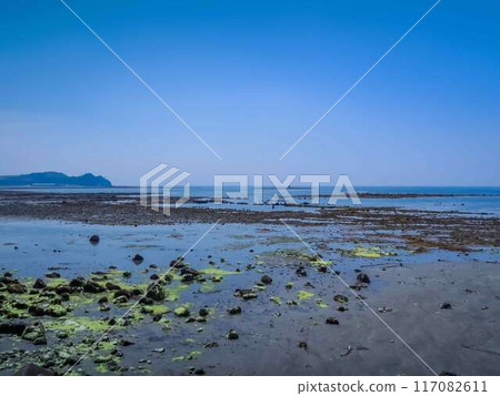Oita Prefecture Himeshima Oita Prefecture Himeshima 117082611
