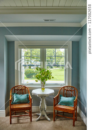 Cozy Traditional Interior with Natural Light and Lush Greenery 117082658