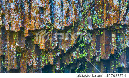 Rusted Metal and Green Plants Close-Up Rusted Metal and Green Plants Close-Up 117082714