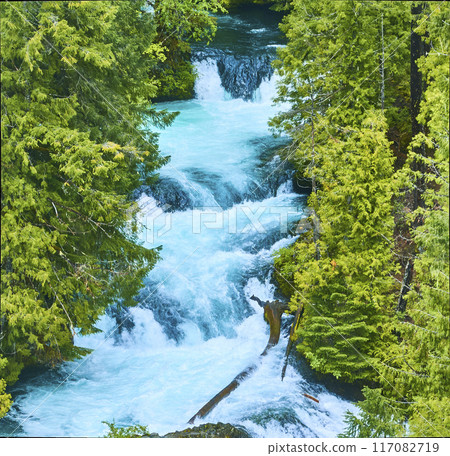 Aerial Fly Through McKenzie River Rapids and Forest Canopy 117082719