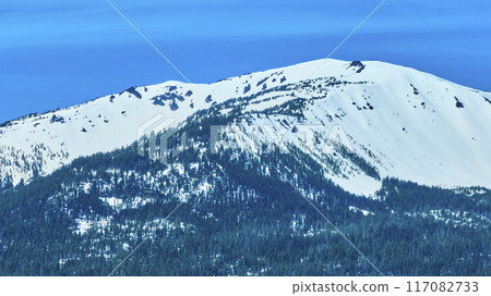 Aerial View of Snow-Capped Mount Bailey and Evergreen Forests Aerial View of Snow-Capped Mount Bailey and Evergreen Forests 117082733
