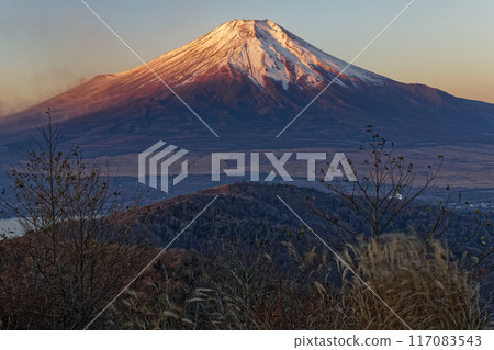 從石割山看日出時的富士山 117083543