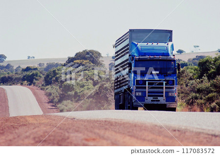 一輛運輸牲畜的半拖車駛近澳洲乾旱地區（拍攝於2000年，底片） 117083572