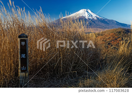 Mt. Fuji seen from Mt. Hirao in late autumn Mt. Fuji seen from Mt. Hirao in late autumn 117083628