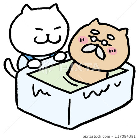 Cute cat character material for caregivers Cute cat character material for caregivers 117084381