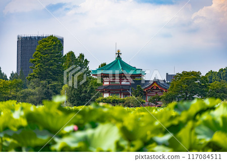 上野溫泉公園 117084511