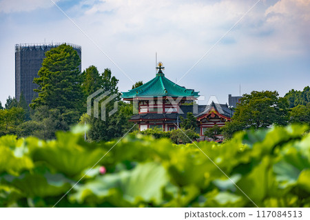 上野溫泉公園 117084513