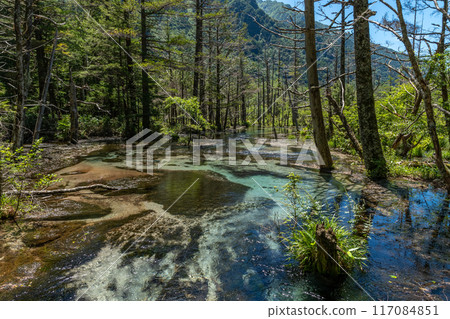 Kamikochi的夏天 117084851