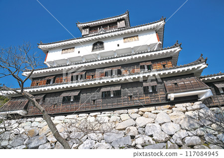 [Iwakuni Castle] Yokoyama, Iwakuni City, Yamaguchi Prefecture 117084945