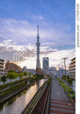 Sky tree  117085109