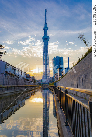 Sky tree Sky tree 117085266
