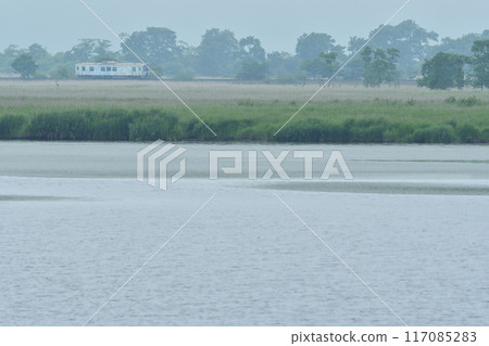 Senmo幹線列車穿越Shiraltoro沼澤 117085283