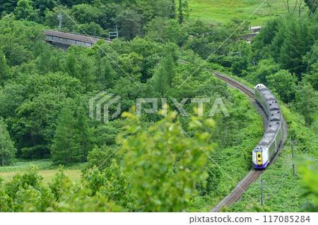 Kiha 261 series express train "Ozora" climbing the Karikachi Pass Kiha 261 series express train "Ozora" climbing the Karikachi Pass 117085284