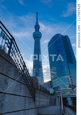 天空樹 天空樹 117085426