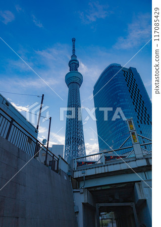 Sky tree Sky tree 117085429