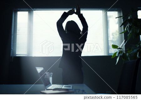 Silhouette of a businesswoman using a laptop 117085565